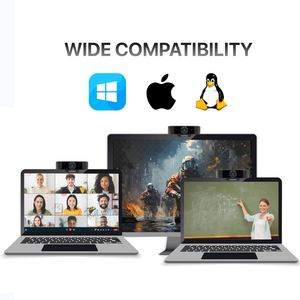 PeopleLink Nebula C30 Webcam - Black