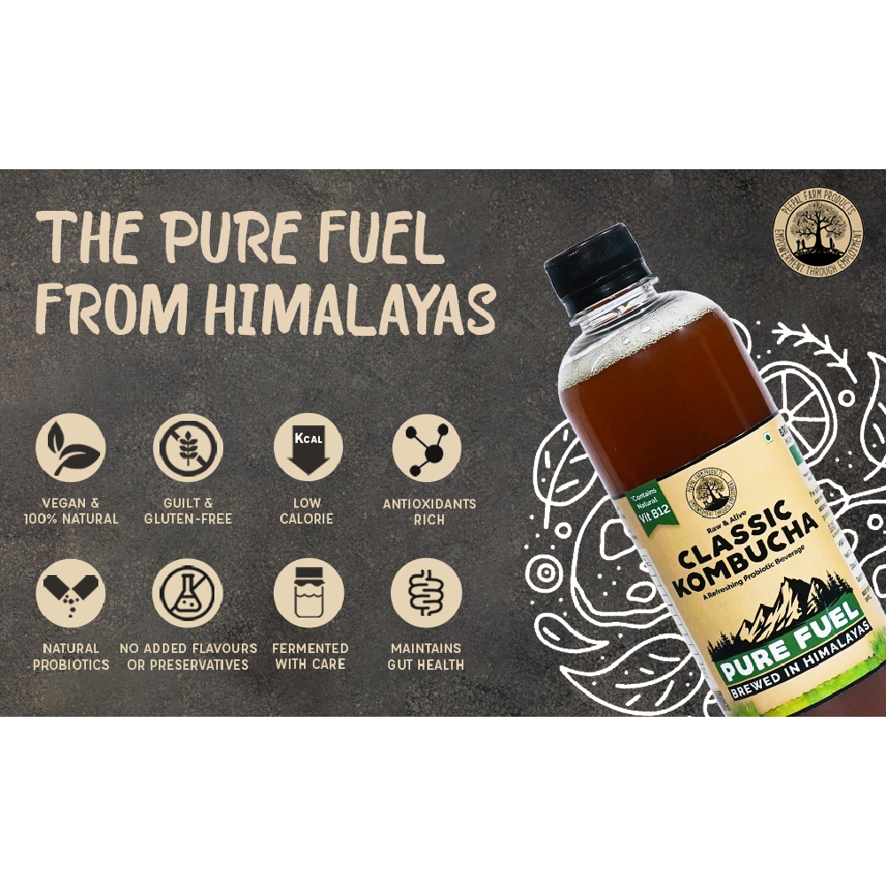 Peepal Farm Handcrafted Classic Kombucha Black Tea Liquid - Pack of 2 x 500 ml