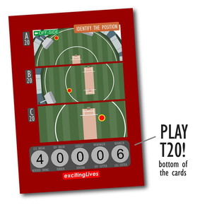 Exciting Lives Cricket Fever Card Game