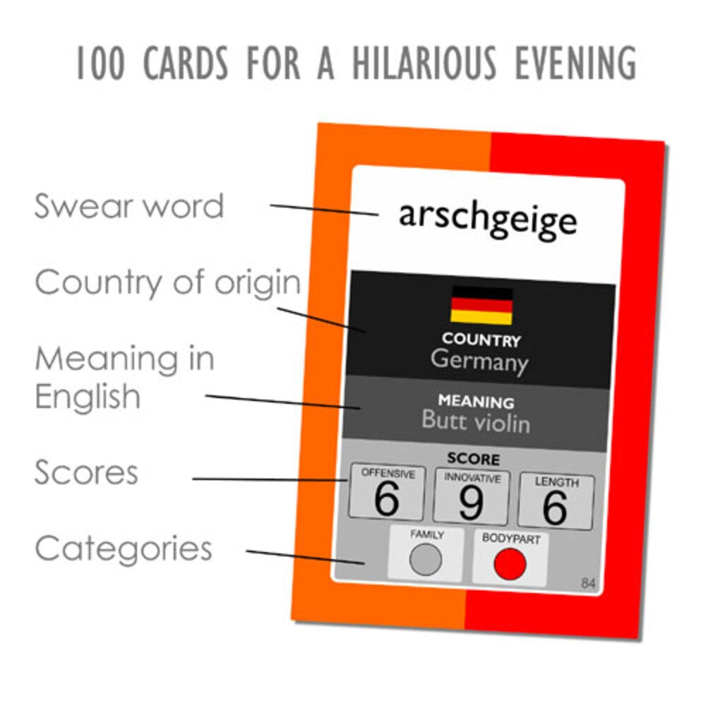 Exciting Lives Profanity Card Game