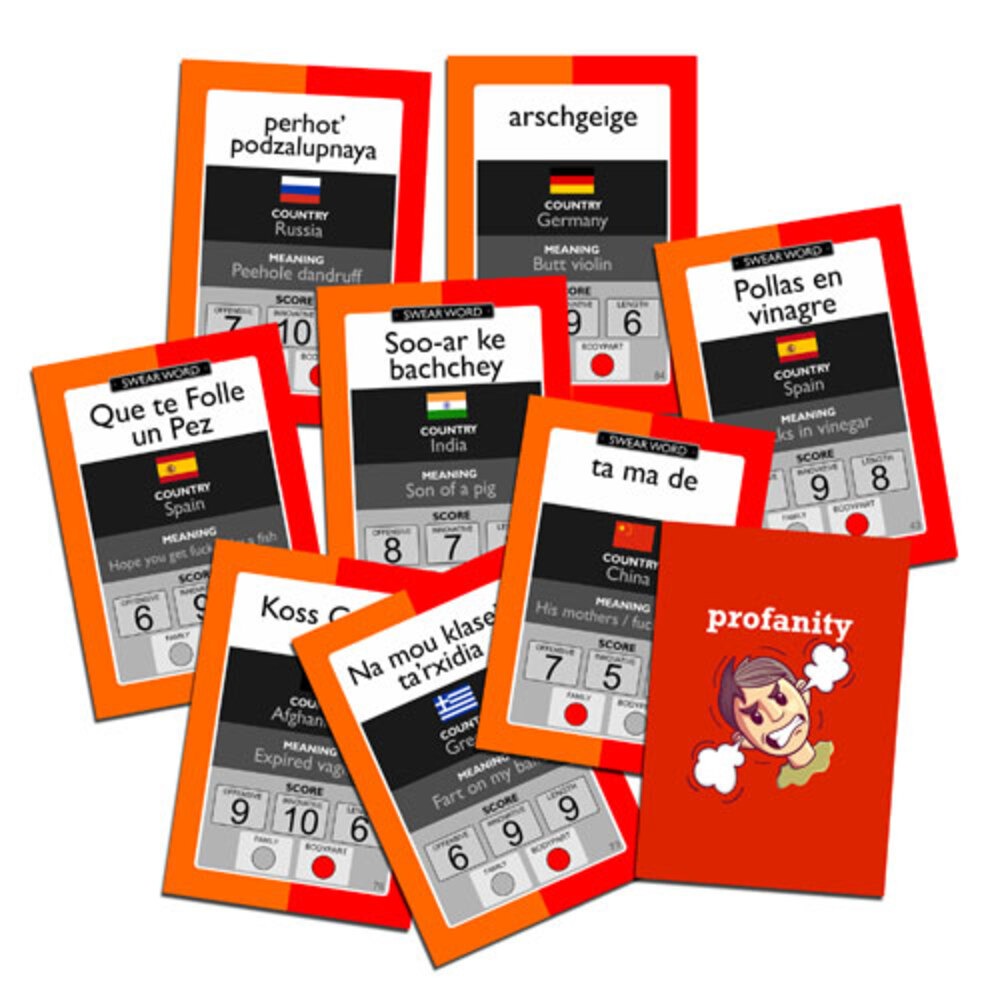 Exciting Lives Profanity Card Game