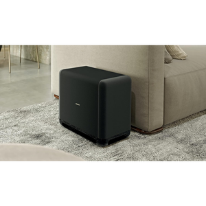 Sony SA-SW5 300W Wireless Portable Subwoofer