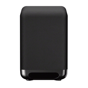 Sony SA-SW5 300W Wireless Portable Subwoofer