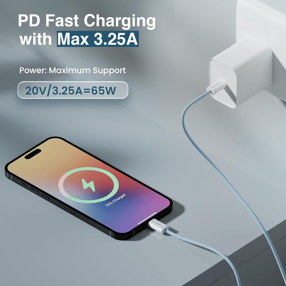 Hammer 65W Type C to Type C Fast Charging Cable 