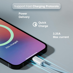 Hammer 65W Type C to Type C Fast Charging Cable 